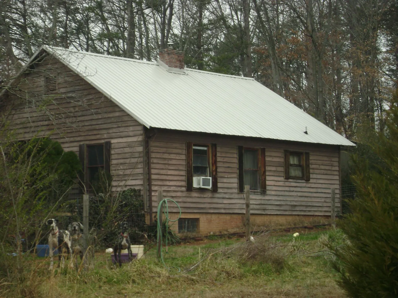White metal roof on an old wood sided farmhouse, from a Metal Roof Installation job in Loveland